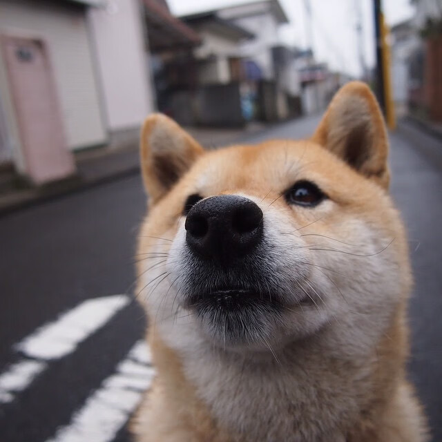 中国足球青少年足球赛事规则适应国际标准,中国青少年足球校园足球