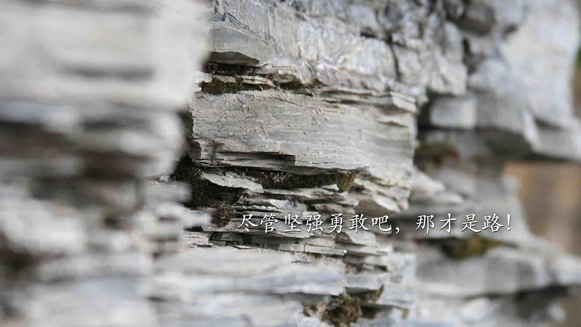 爱游戏娱乐平台-体育消费平台上线专业运动推荐系统，体育服务消费