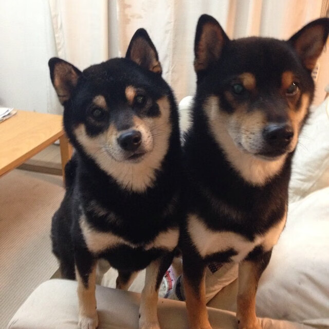 场外花絮曝光运动员与粉丝互动场面温馨引发大量转发,运动员场景