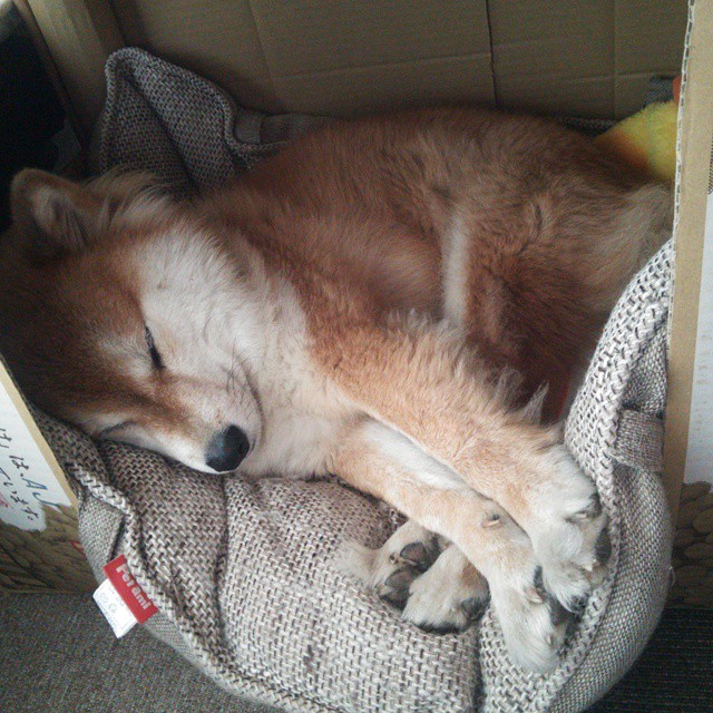 AYX体育官网-女子足球队主教练接受专访分享执教理念，国家女子足球队主教练