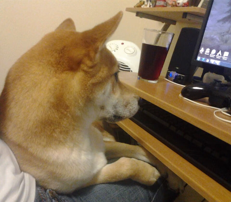 德甲速度精神:瞬间突破,秒杀全场!,德甲速度最快现役球员