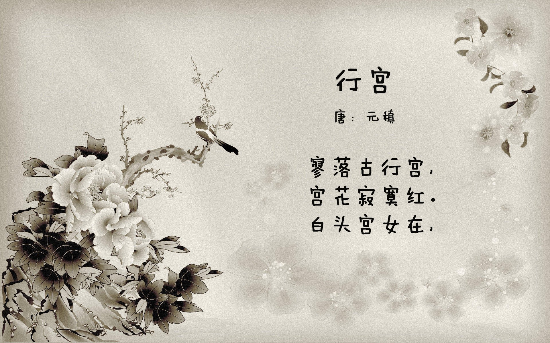 新加坡男篮在亚洲锦标赛中突破自我,力求佳绩