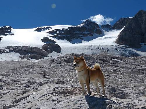 科特迪瓦男篮在非洲锦标赛中持续升温，迈向更高目标，科特迪瓦男足