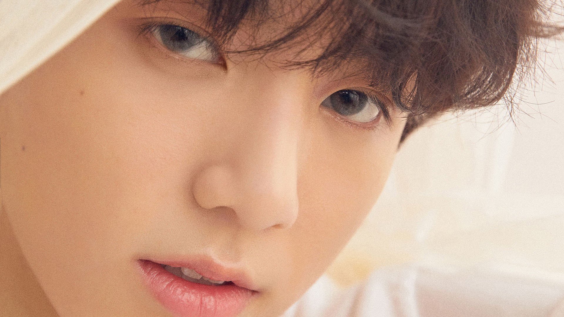 美洲杯明星演绎:拼搏、突破、荣耀!,美洲杯有哪些明星