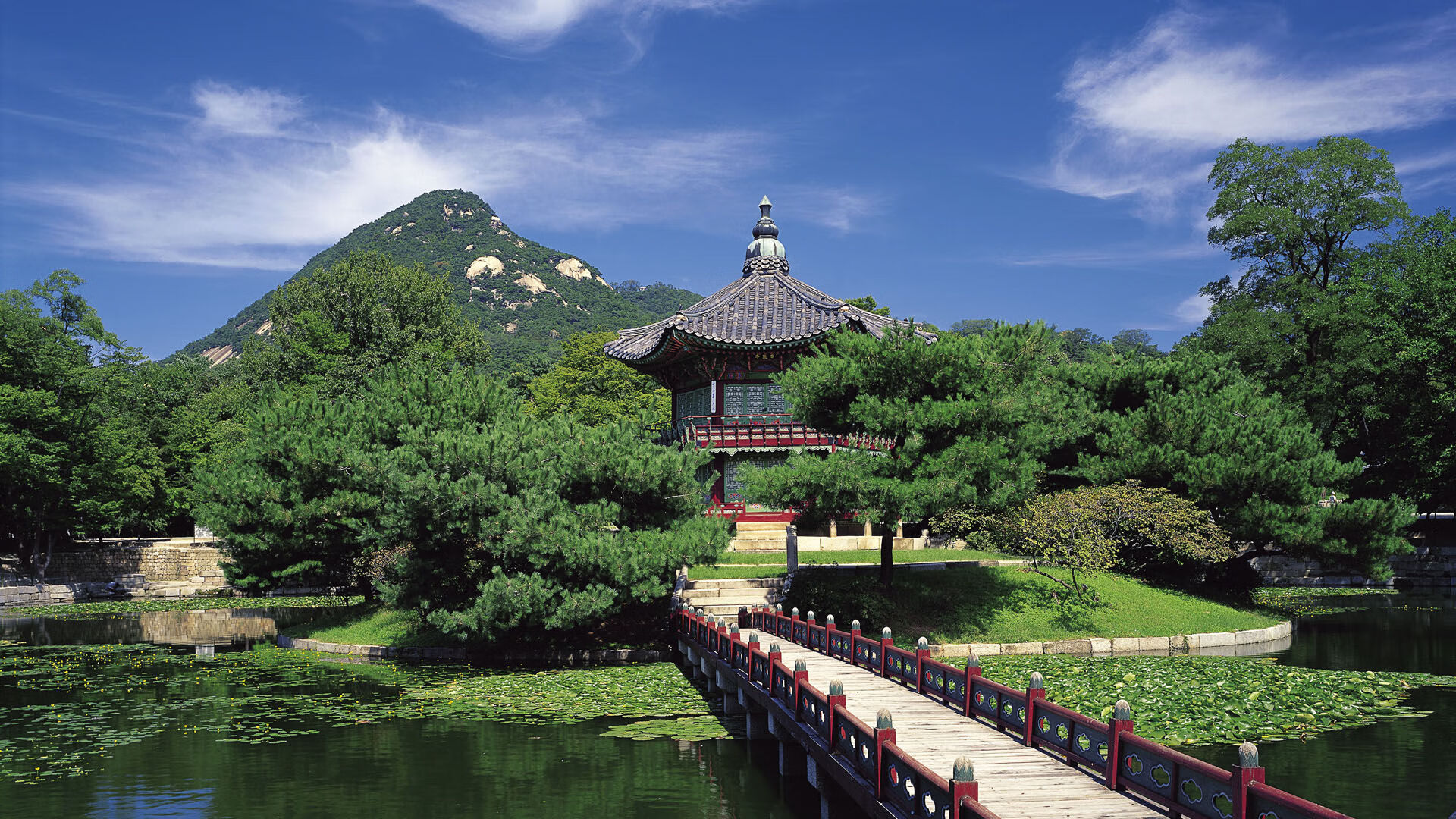 萨默·麦金托什冲刺阶段表现抢眼，麦金托什风格