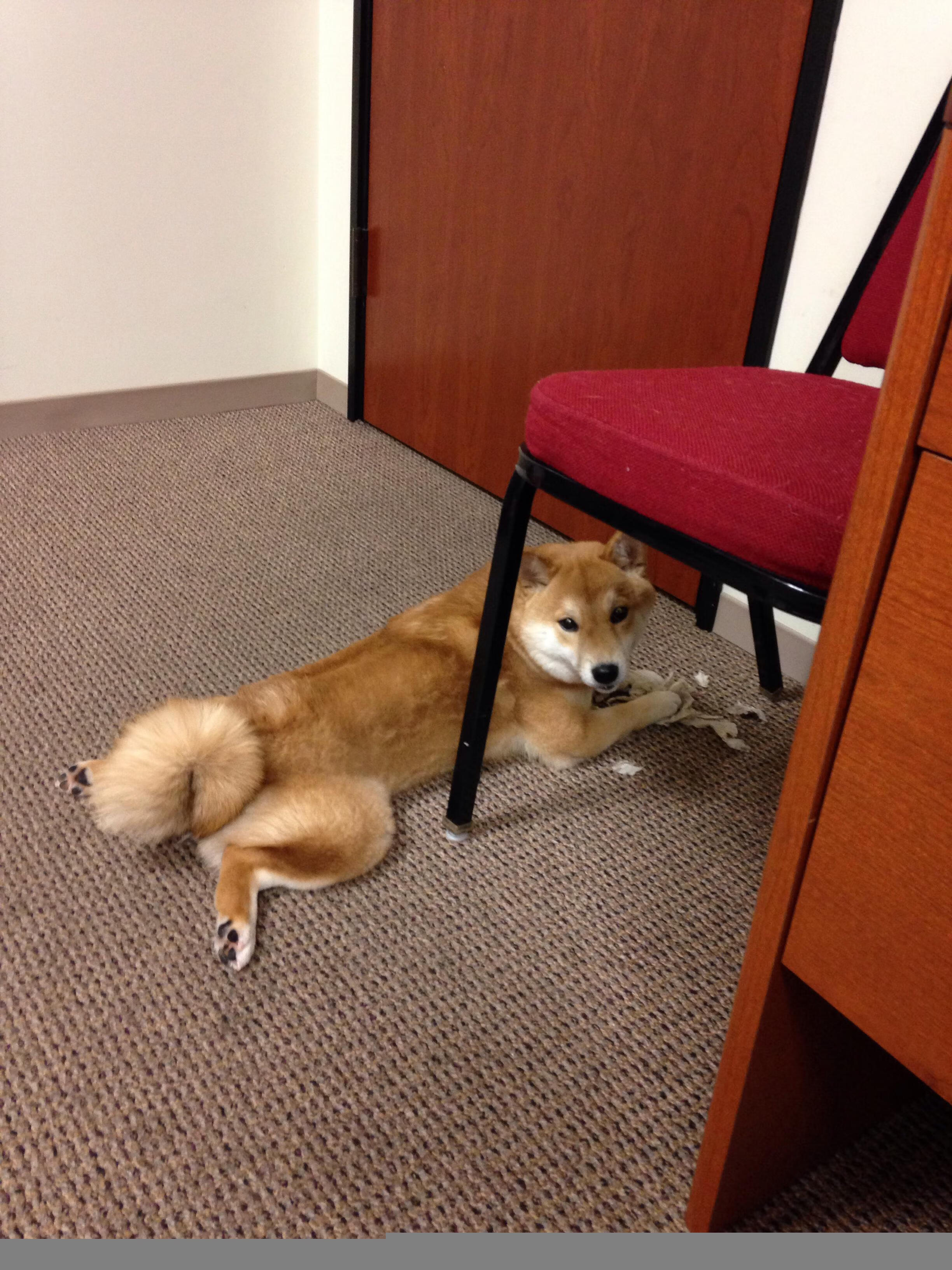 爱游戏官网-赛尔·阿尔斯塔：南非队防守战术的完美执行者，阿尔塞塔斯一世