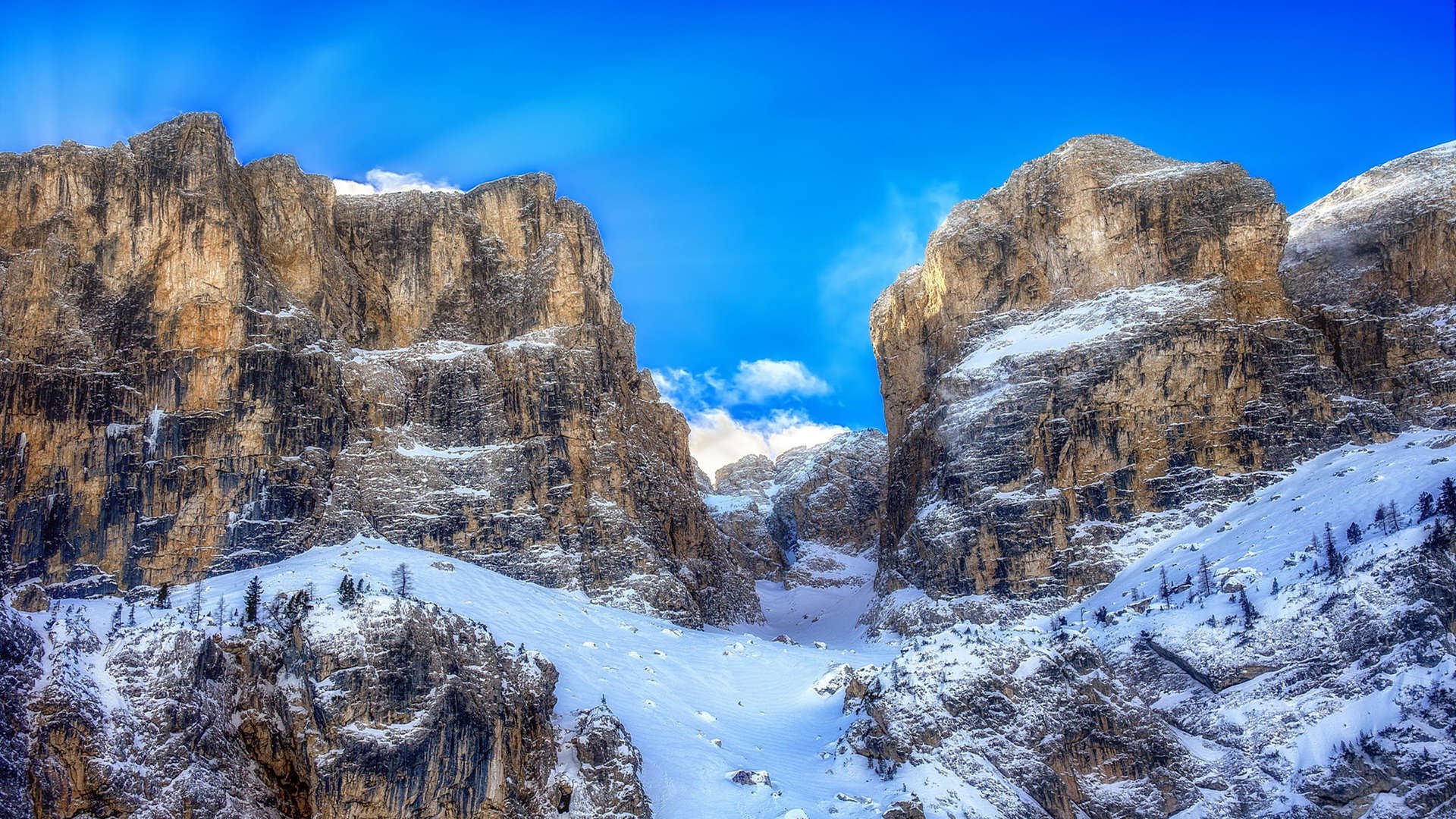 跳水组合协作紧密中立代表队A晋级四强,跳水队包揽全部金牌