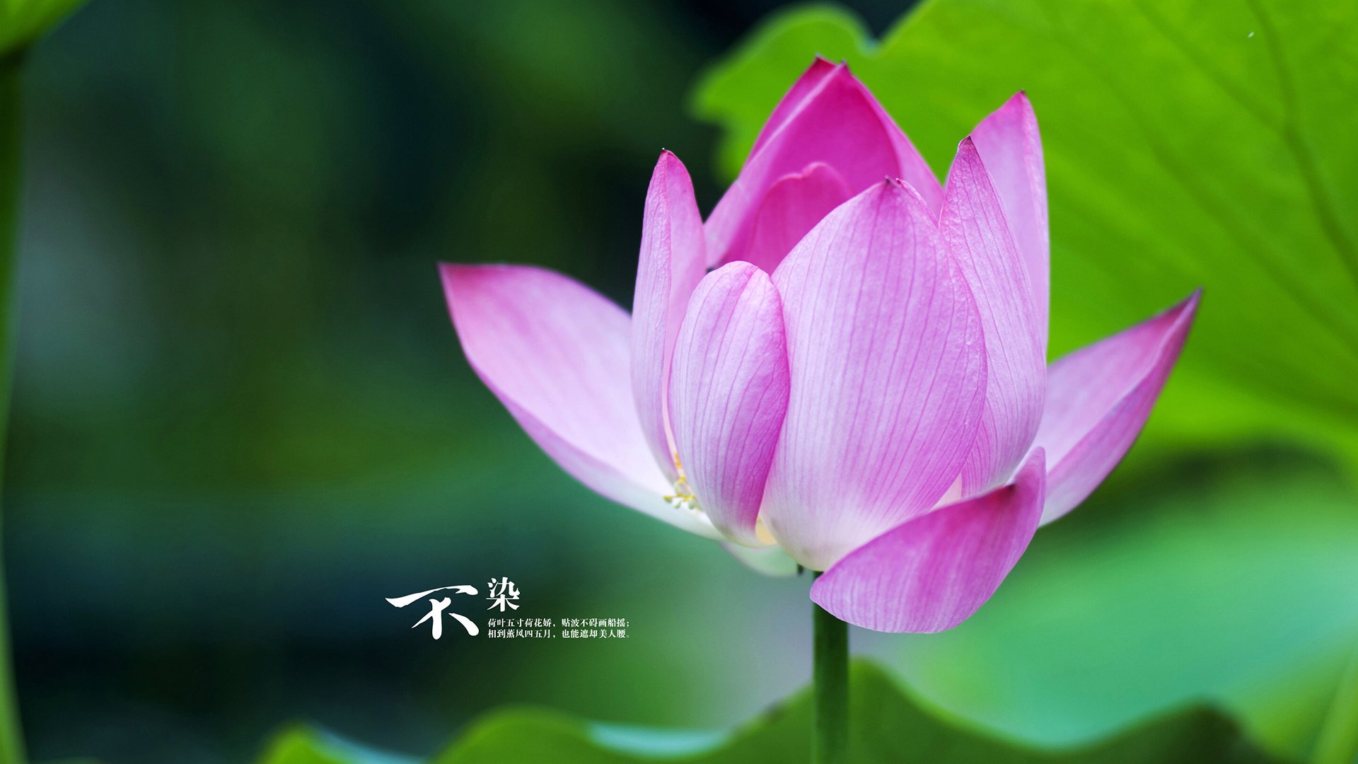 雷霆控卫赛后接受战术指导调整打法,雷霆队防守悍将