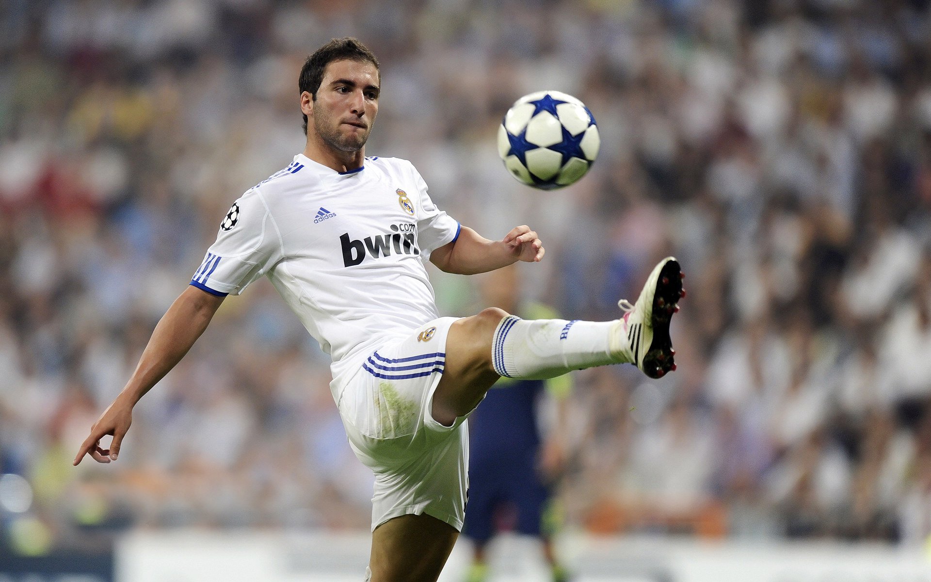 马克·阿特金森:南非羚羊队的锋线闪电,马克·阿特金斯